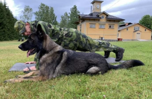 Patrik Andersson, godkänd patrullhunds instruktör